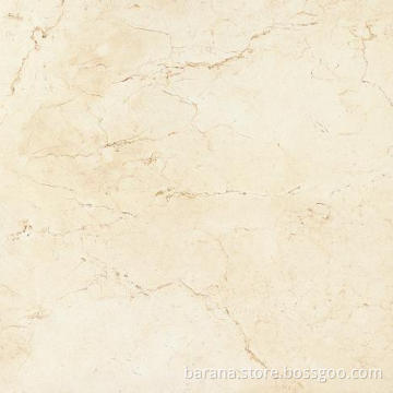 Glazed Tile (TR60015PA)